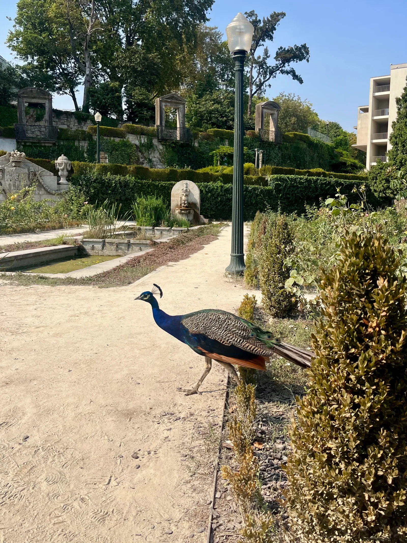 Main view at Jardins do Palácio de Cristal Porto — travel photo