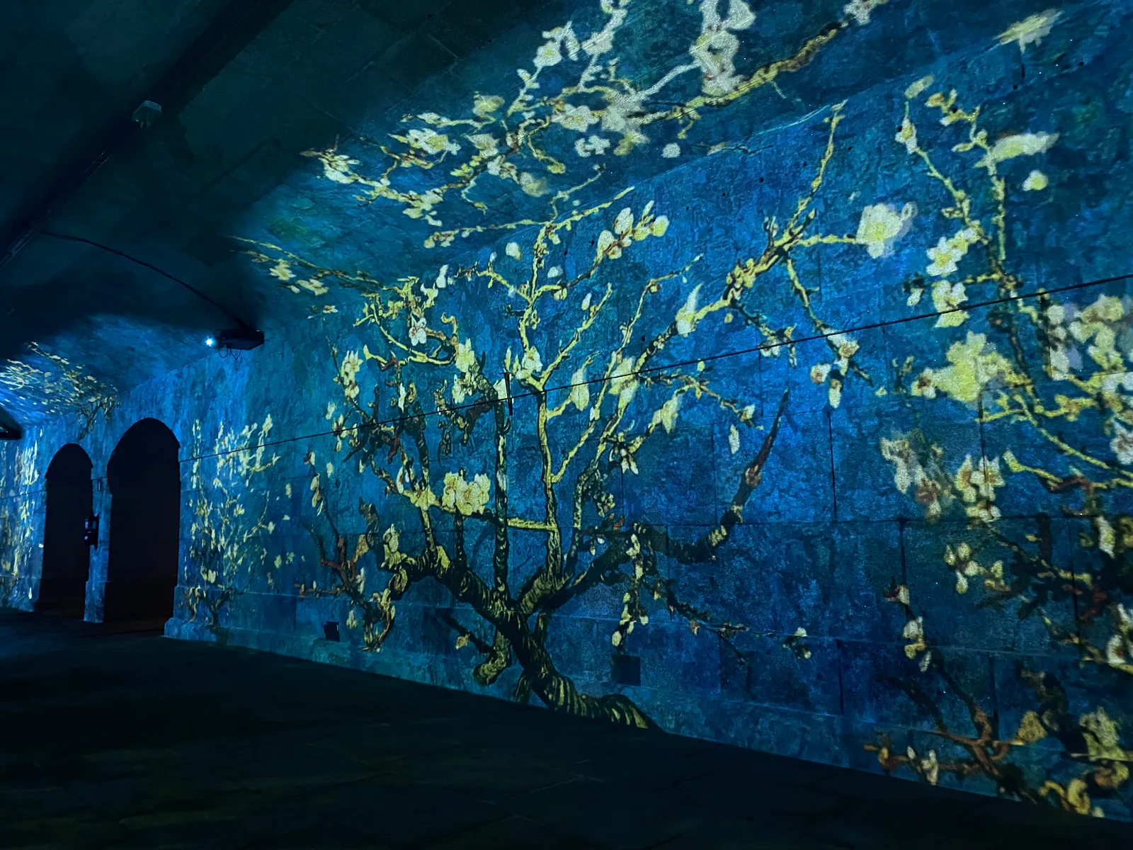 Interior at Living Van Gogh Porto Porto — travel photo