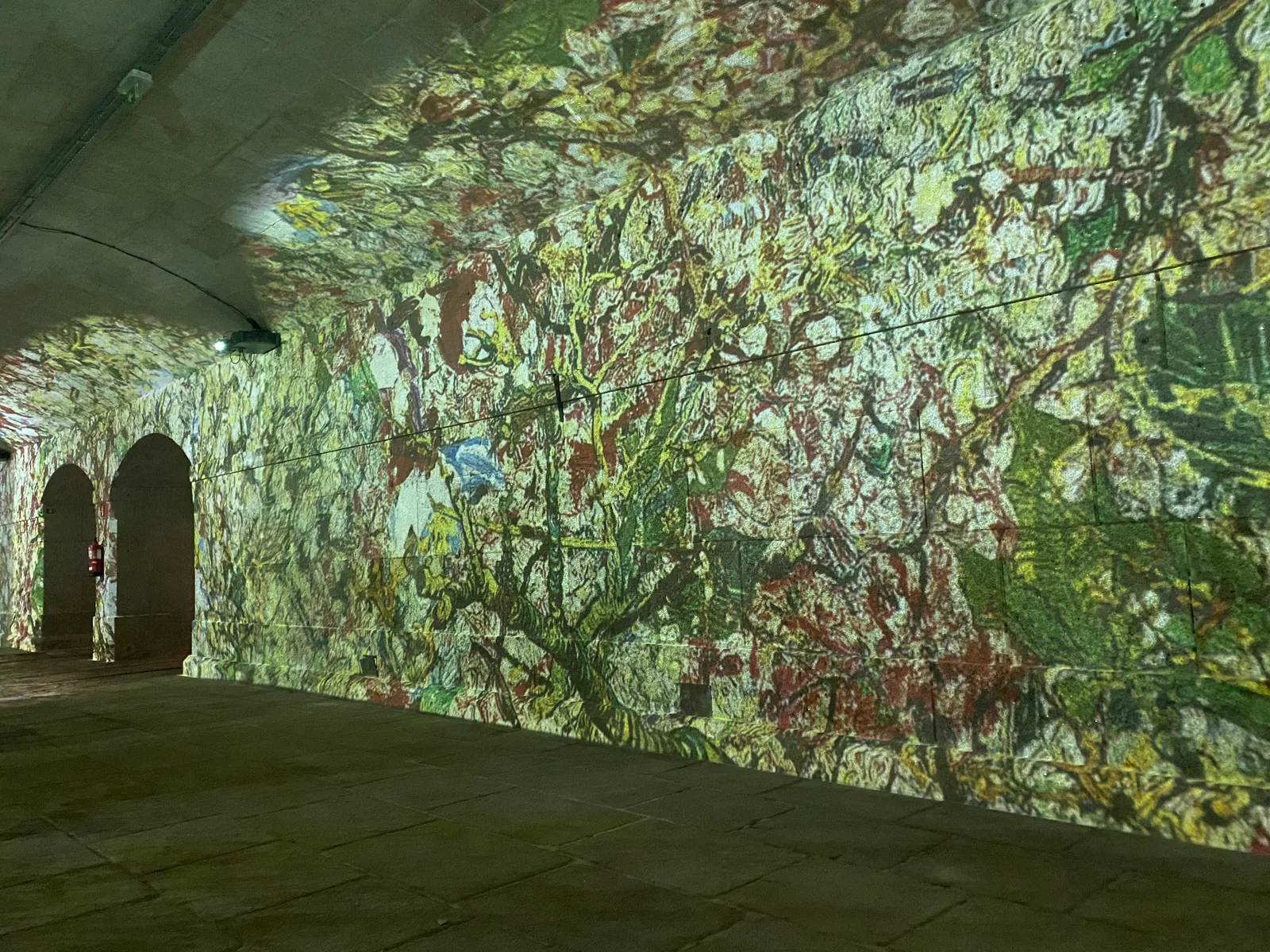 Atmosphere at Living Van Gogh Porto Porto — travel photo