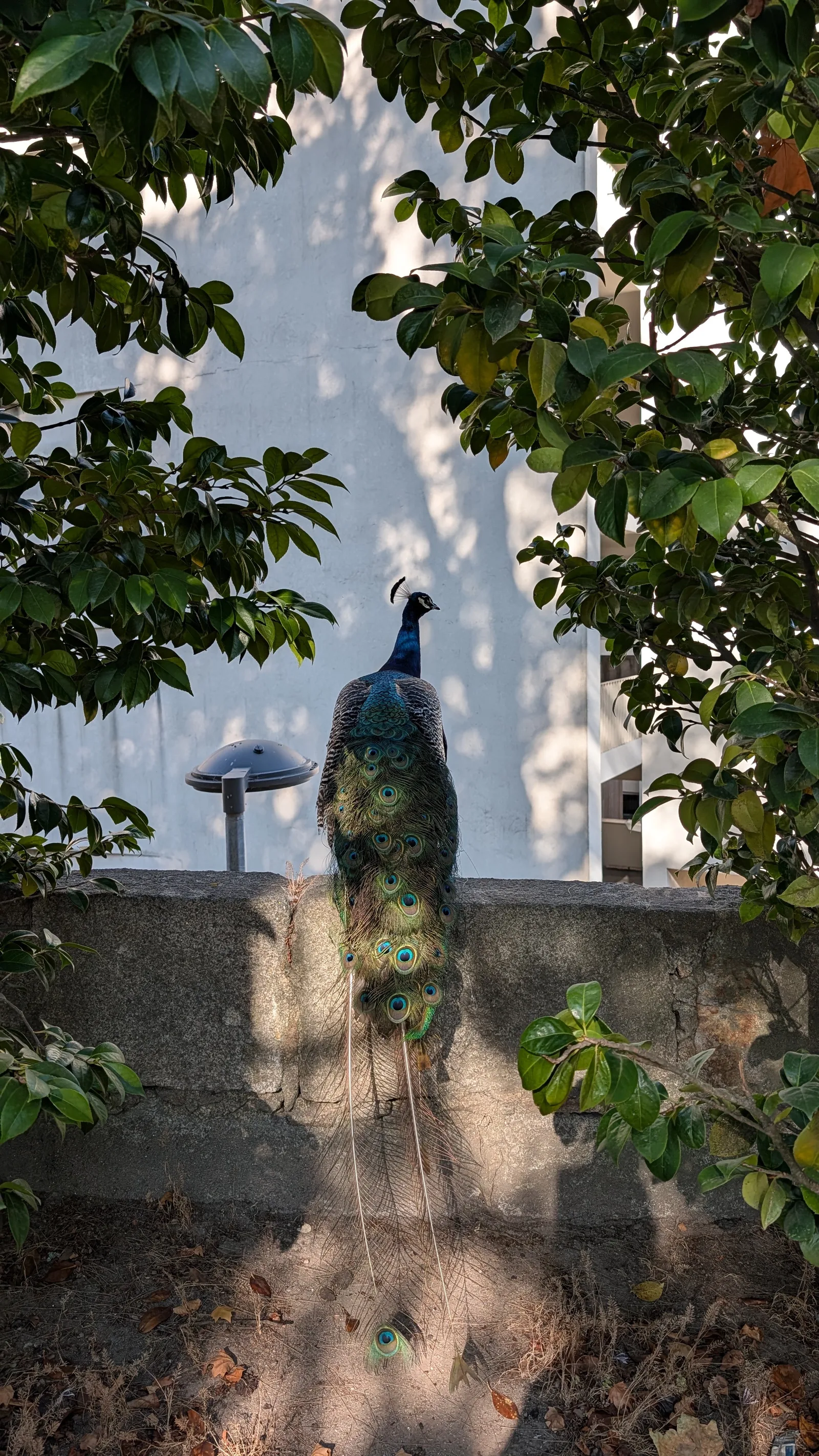 Interior at Palácio de Cristal Porto — travel photo