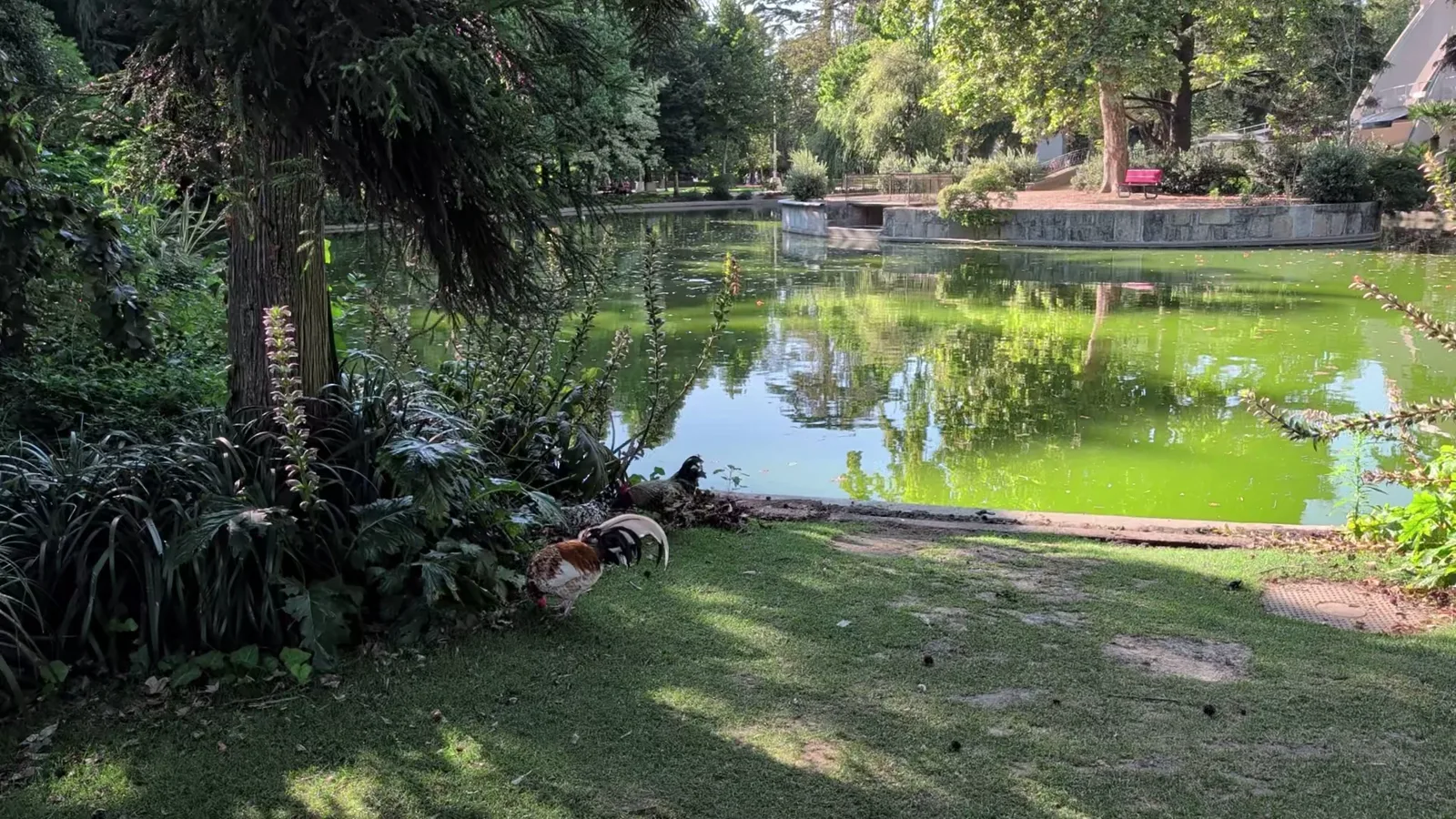 Atmosphere at Palácio de Cristal Porto — travel photo