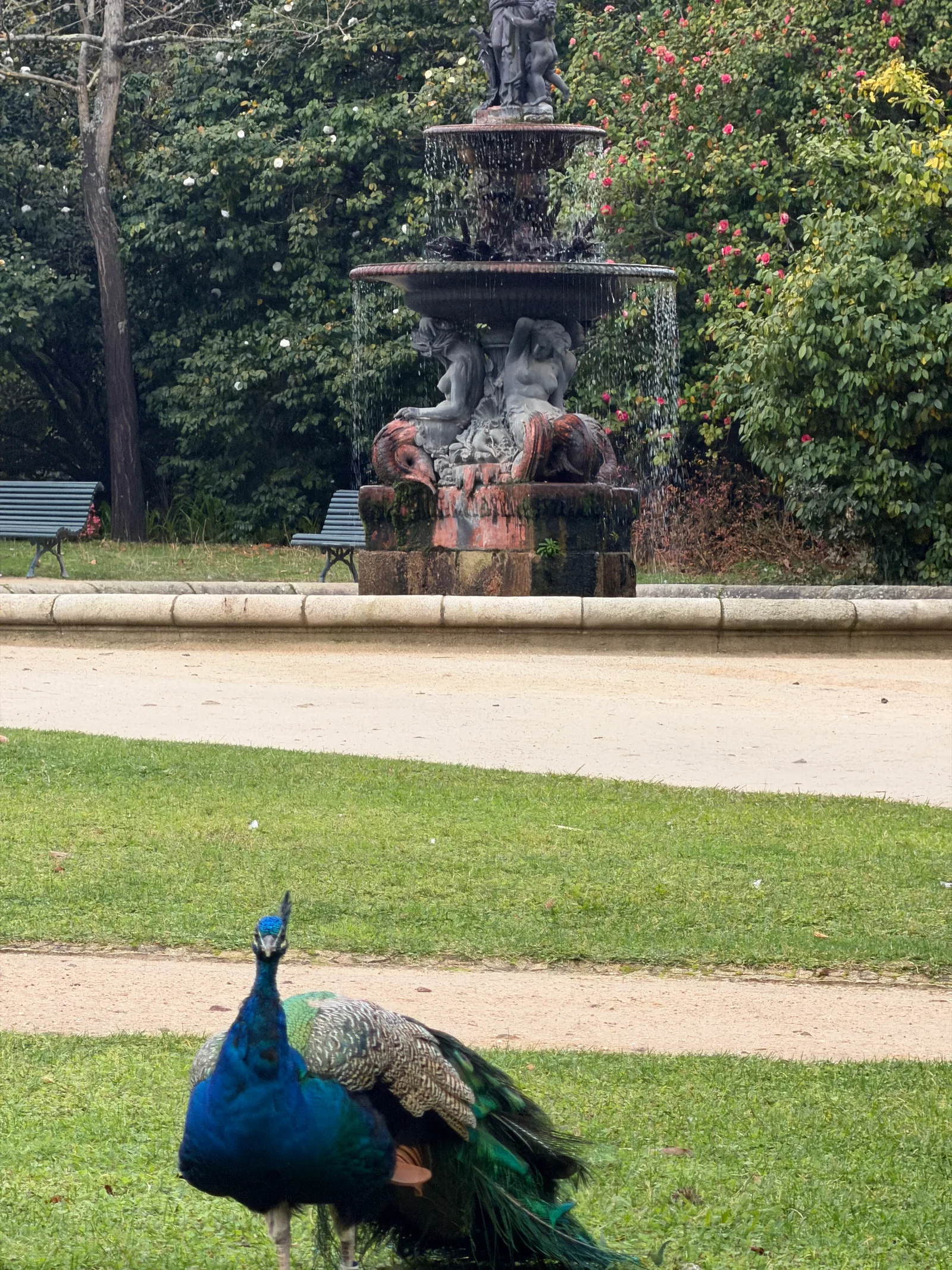 Palácio de Cristal
