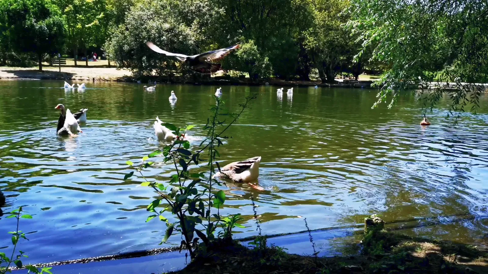 Details at Parque da Cidade do Porto Porto — travel photo