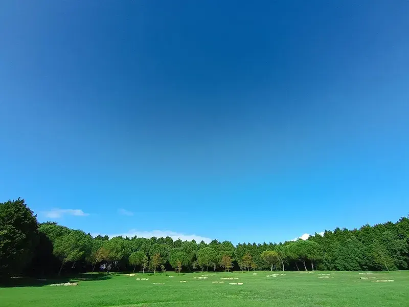 Parque da Cidade do Porto