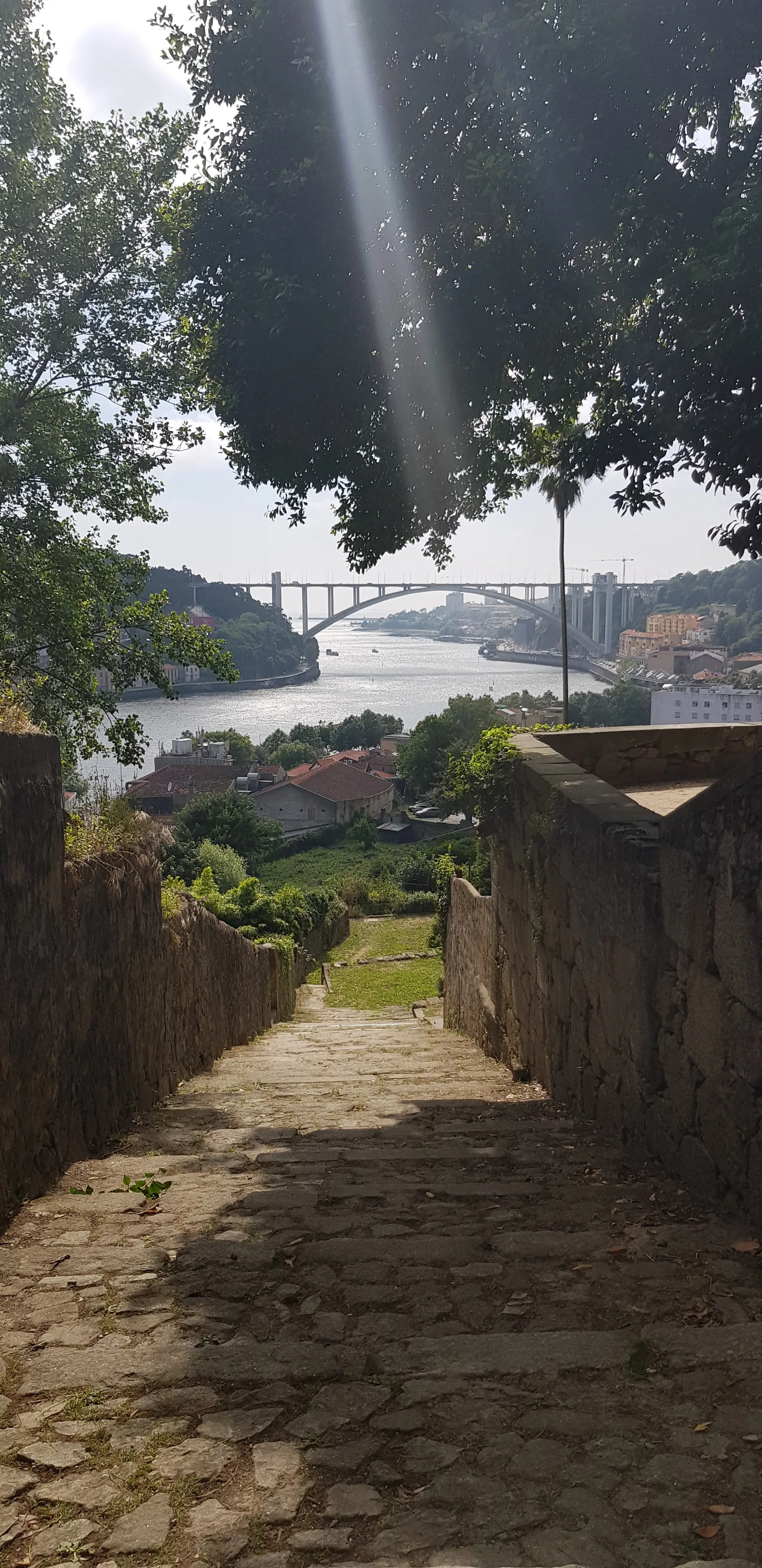Atmosphere at Parque da Quinta da Macieirinha Porto — travel photo