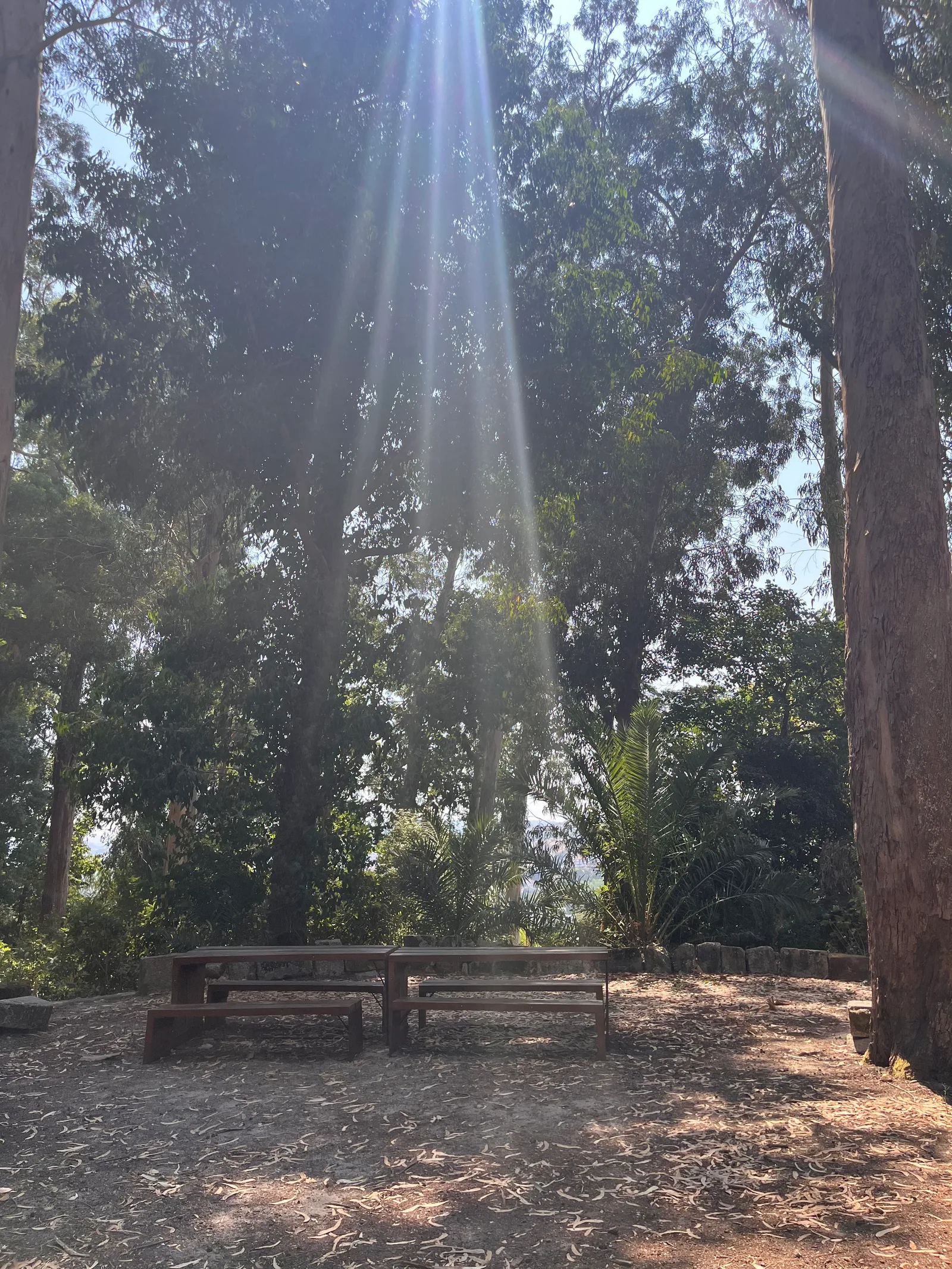 Interior at Parque das Águas Porto — travel photo