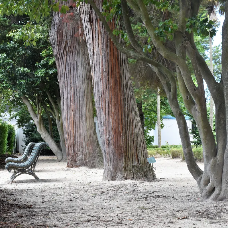 Parque das Águas