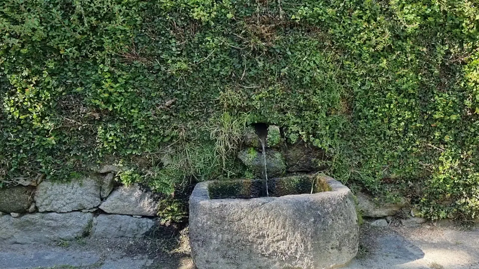 Details at Parque das Virtudes Porto — travel photo