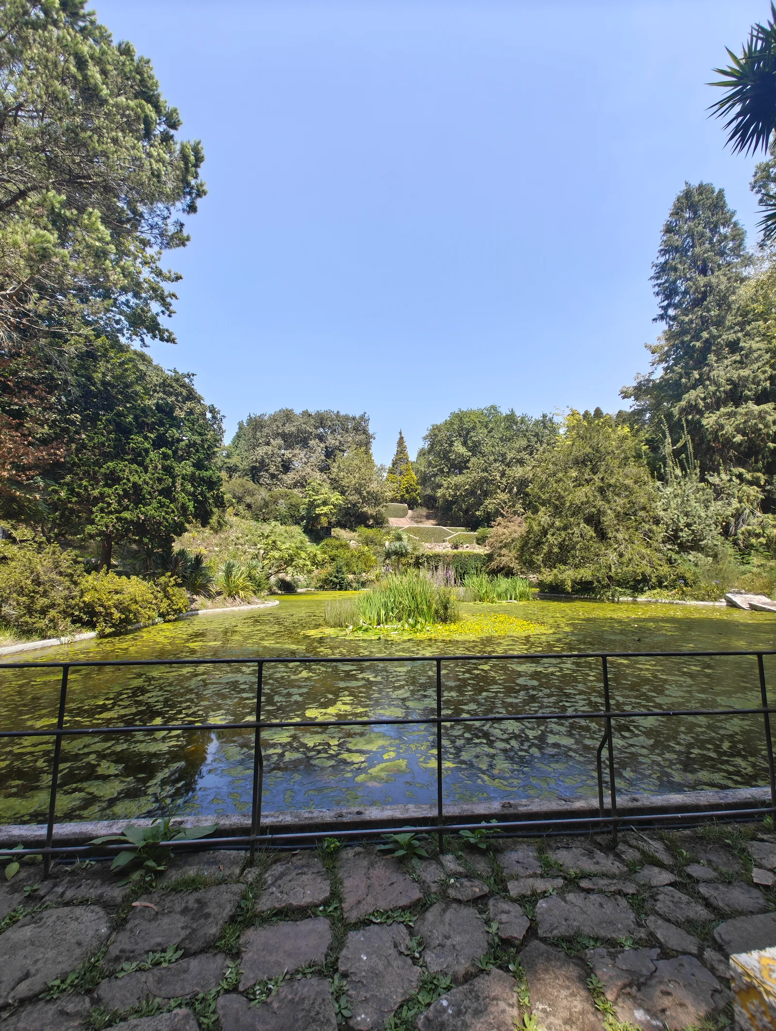 Main view at Parque de Serralves Porto — travel photo