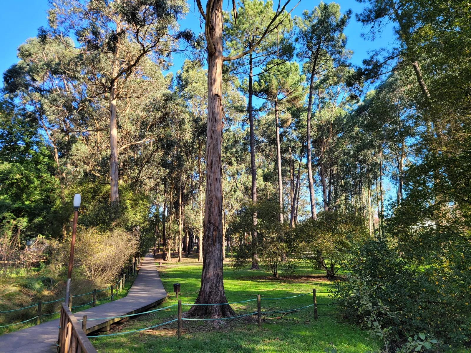 Main view at Parque do Carriçal Porto — travel photo
