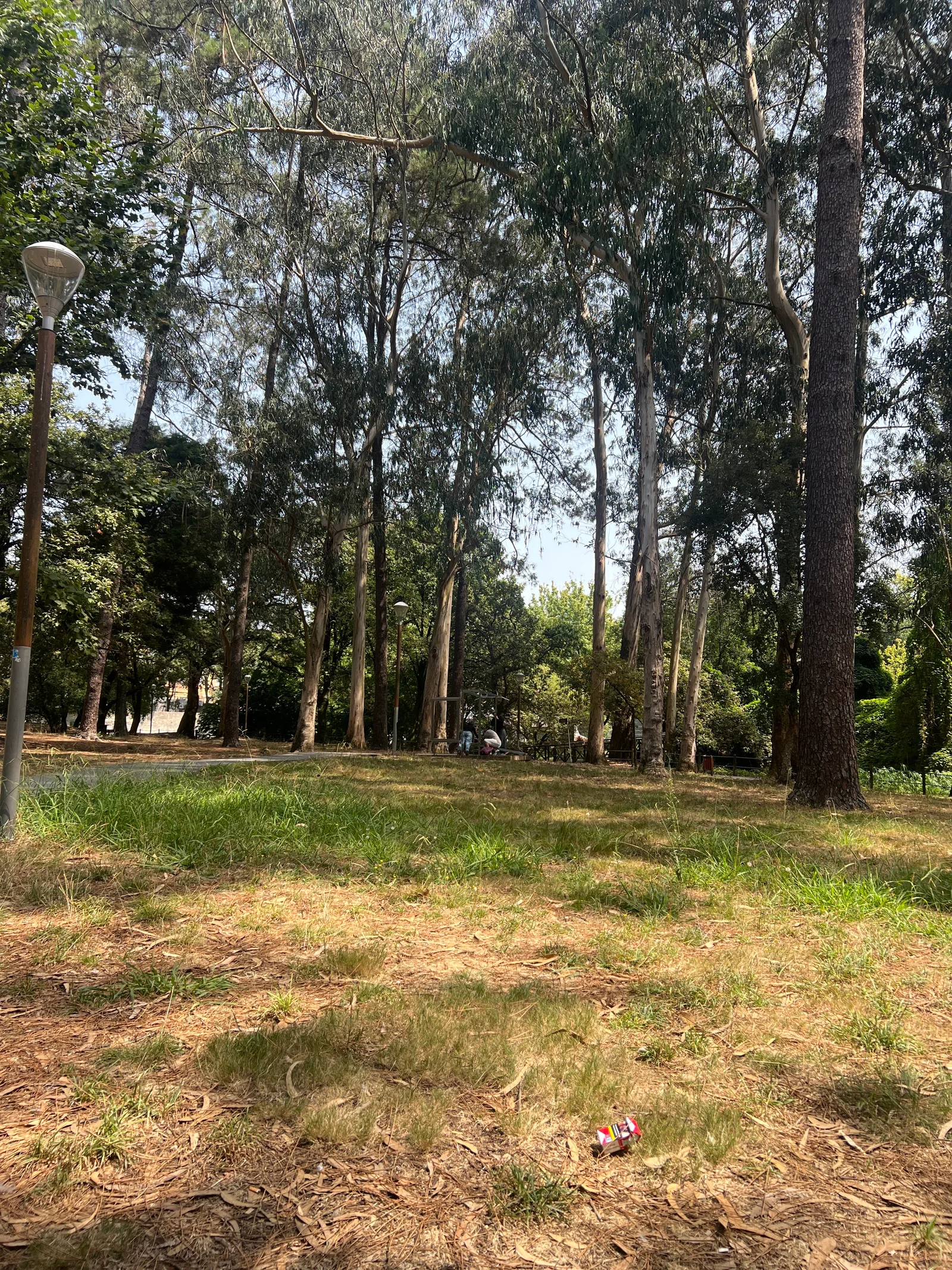 Interior at Parque do Carriçal Porto — travel photo