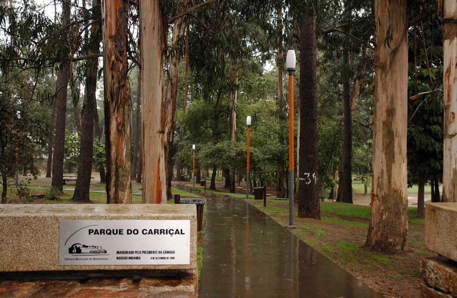 Parque do Carriçal — romantic guide Porto