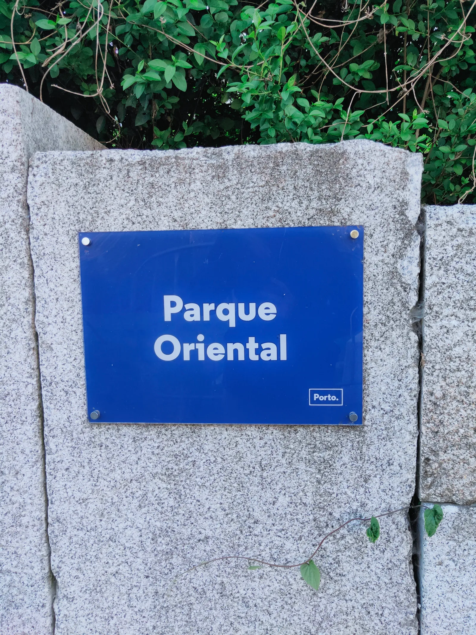 Atmosphere at Parque Oriental da Cidade do Porto Porto — travel photo