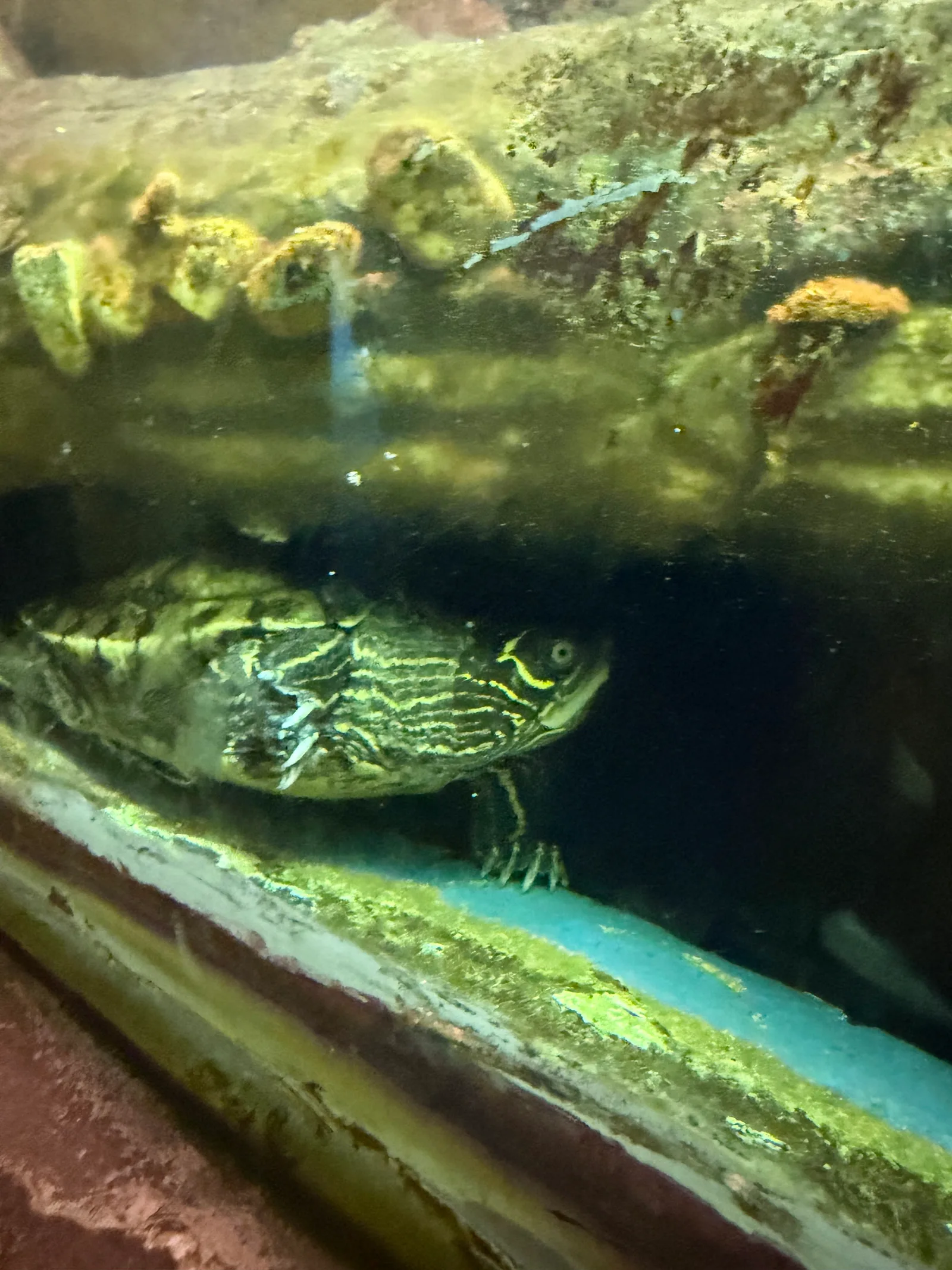 Main view at SEA LIFE Centre Porto Porto — travel photo