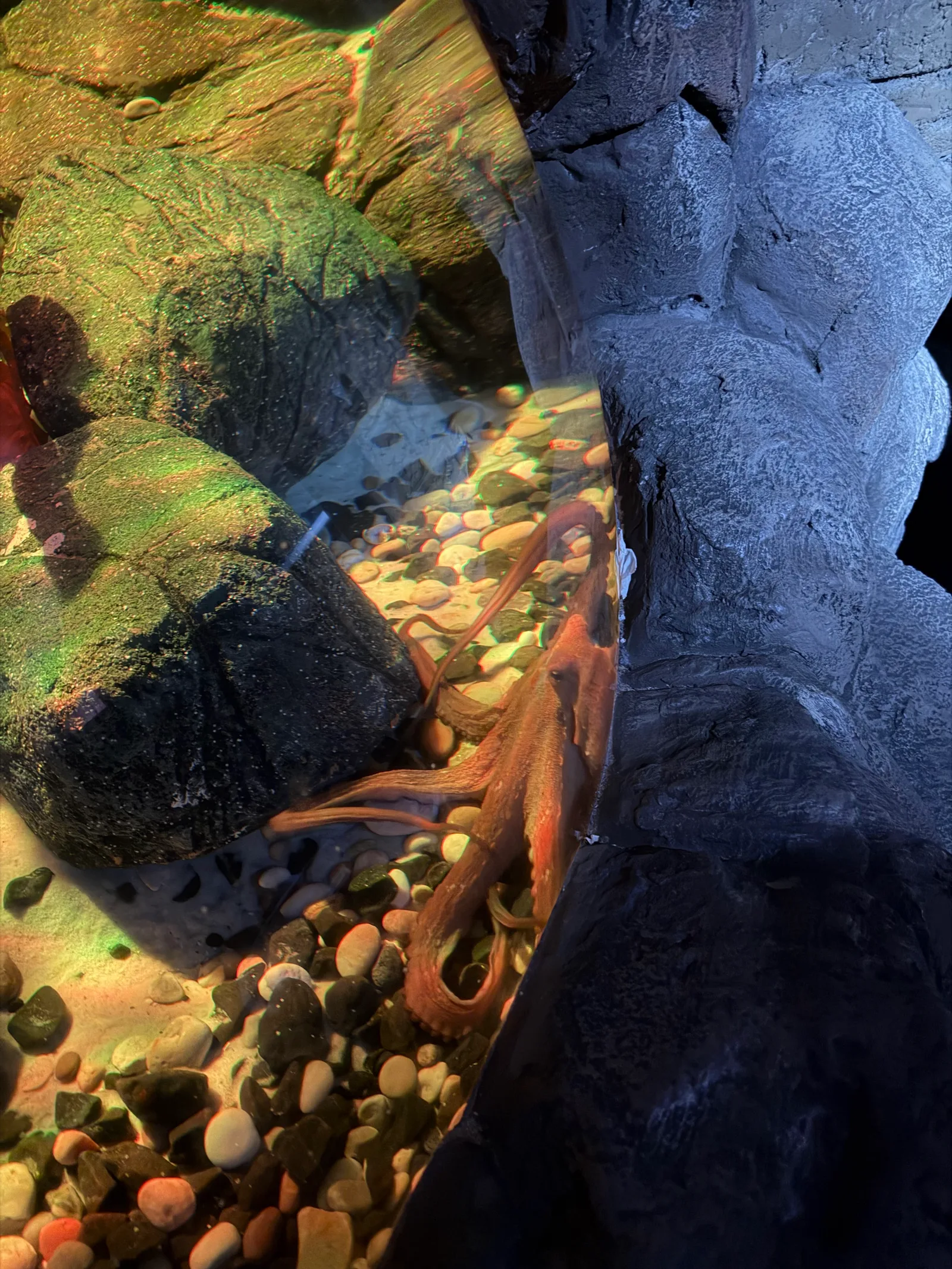 Interior at SEA LIFE Centre Porto Porto — travel photo