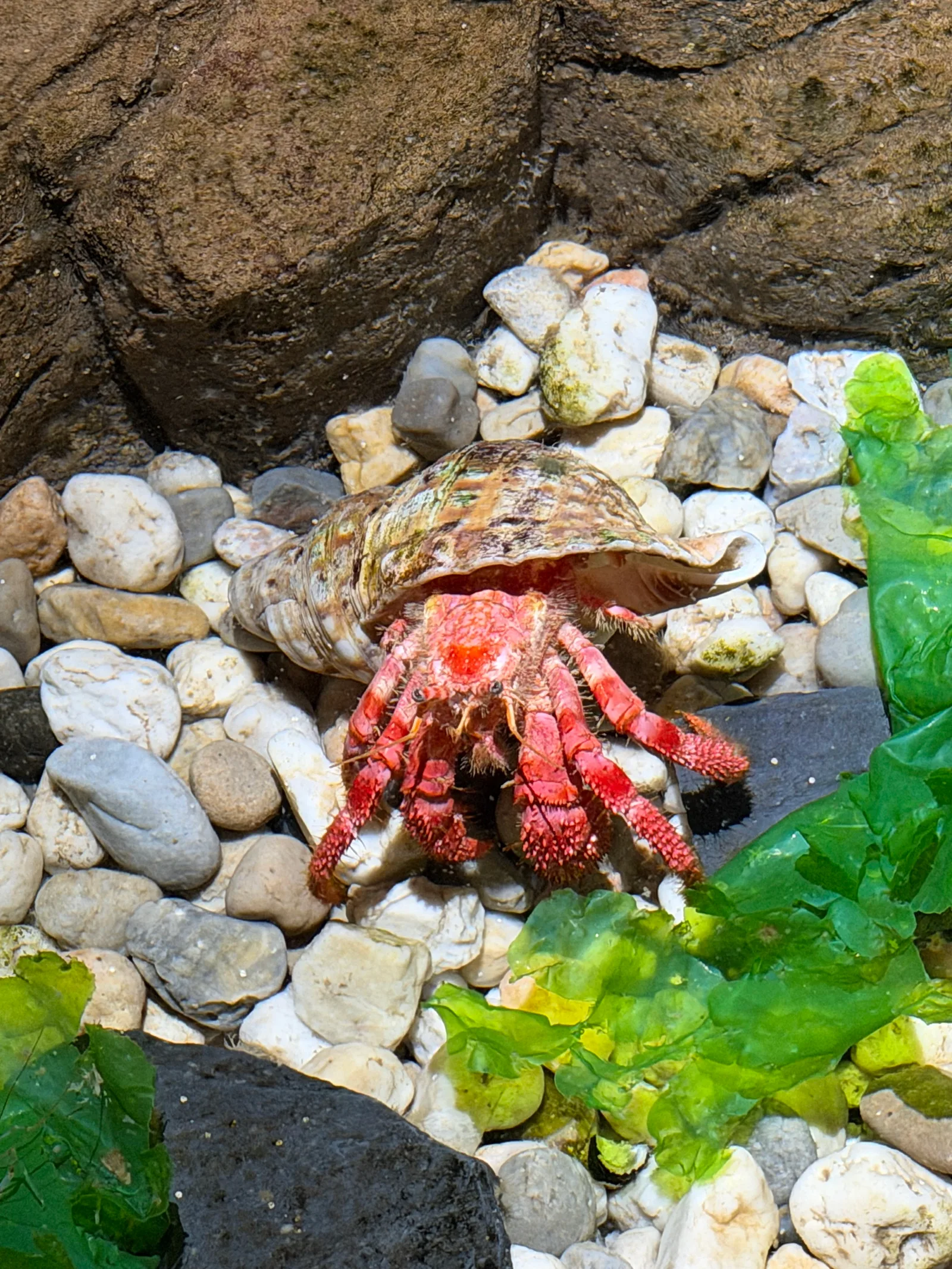 Details at SEA LIFE Centre Porto Porto — travel photo
