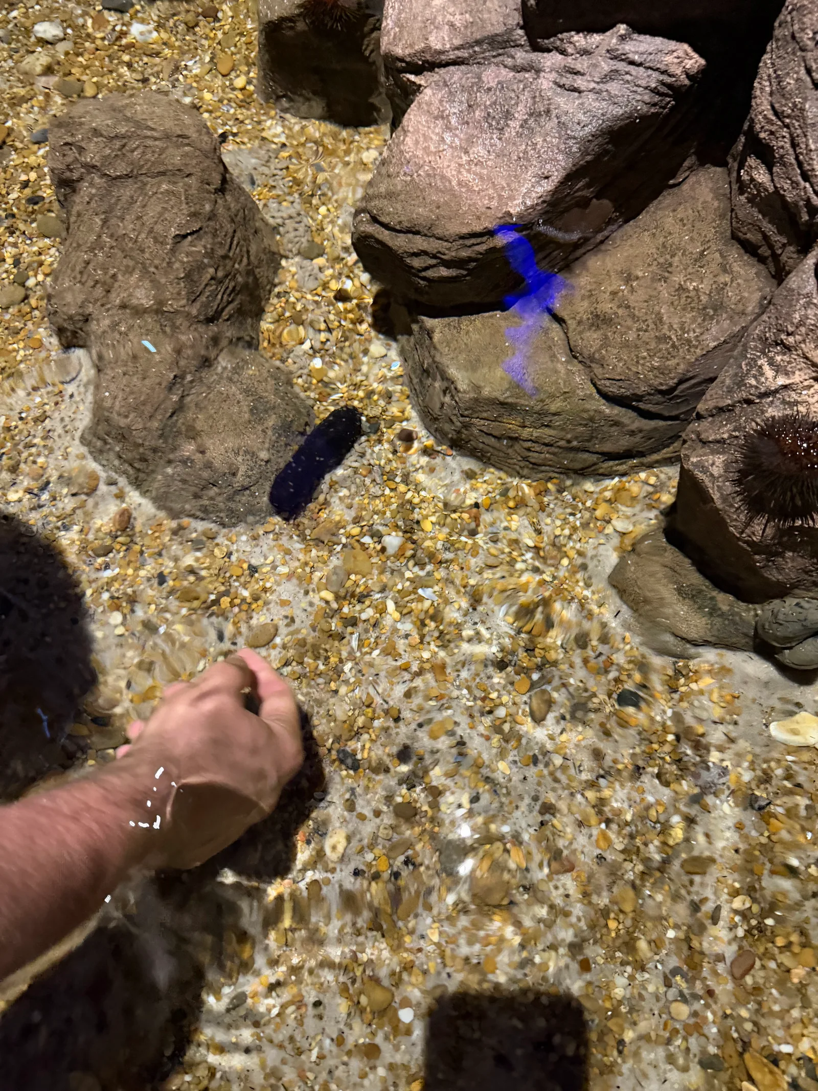 Atmosphere at SEA LIFE Centre Porto Porto — travel photo