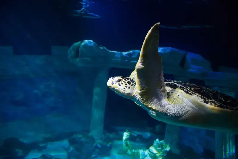 SEA LIFE Centre Porto in Porto