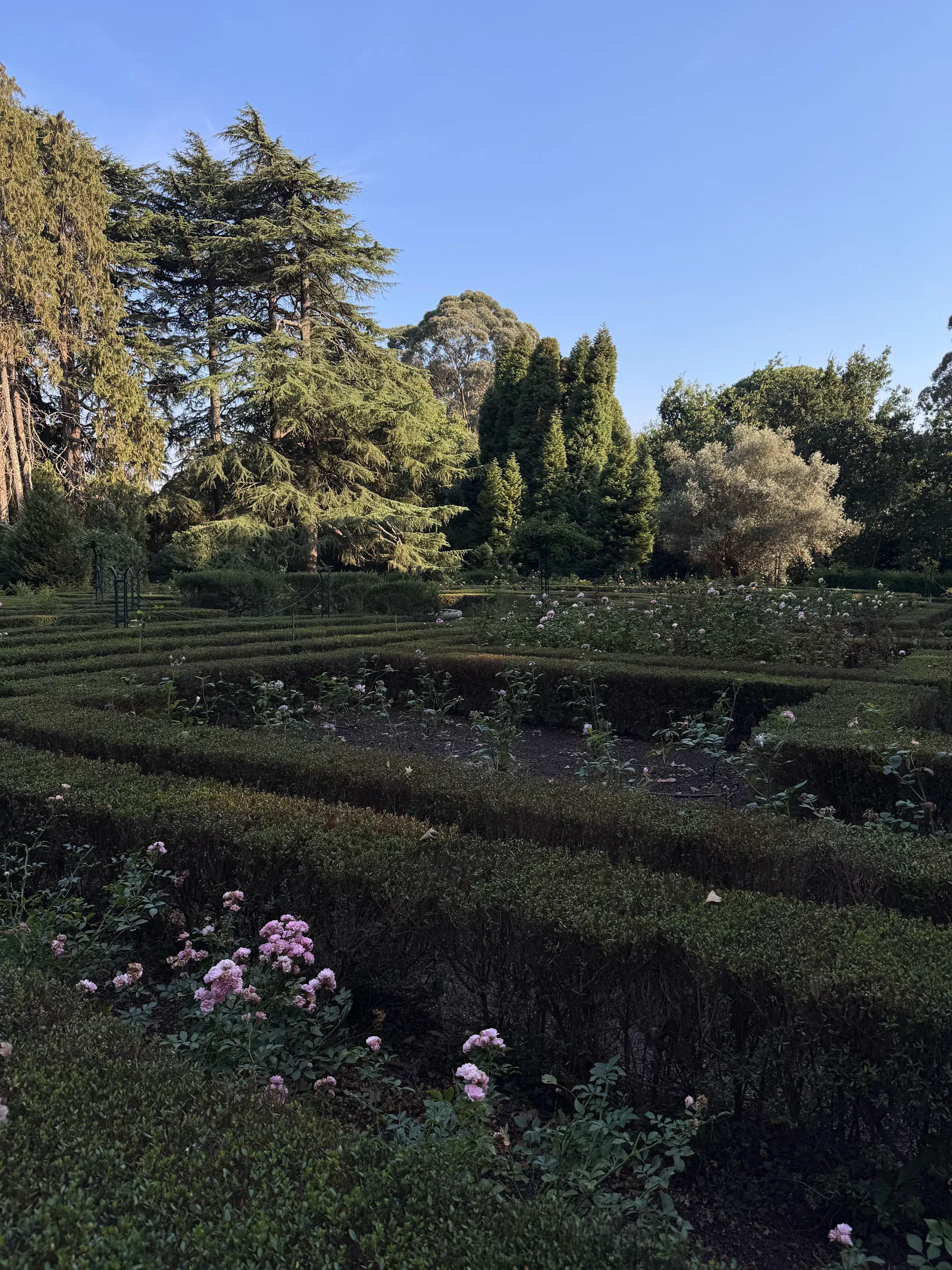 Main view at Serralves Museum of Contemporary Art Porto — travel photo