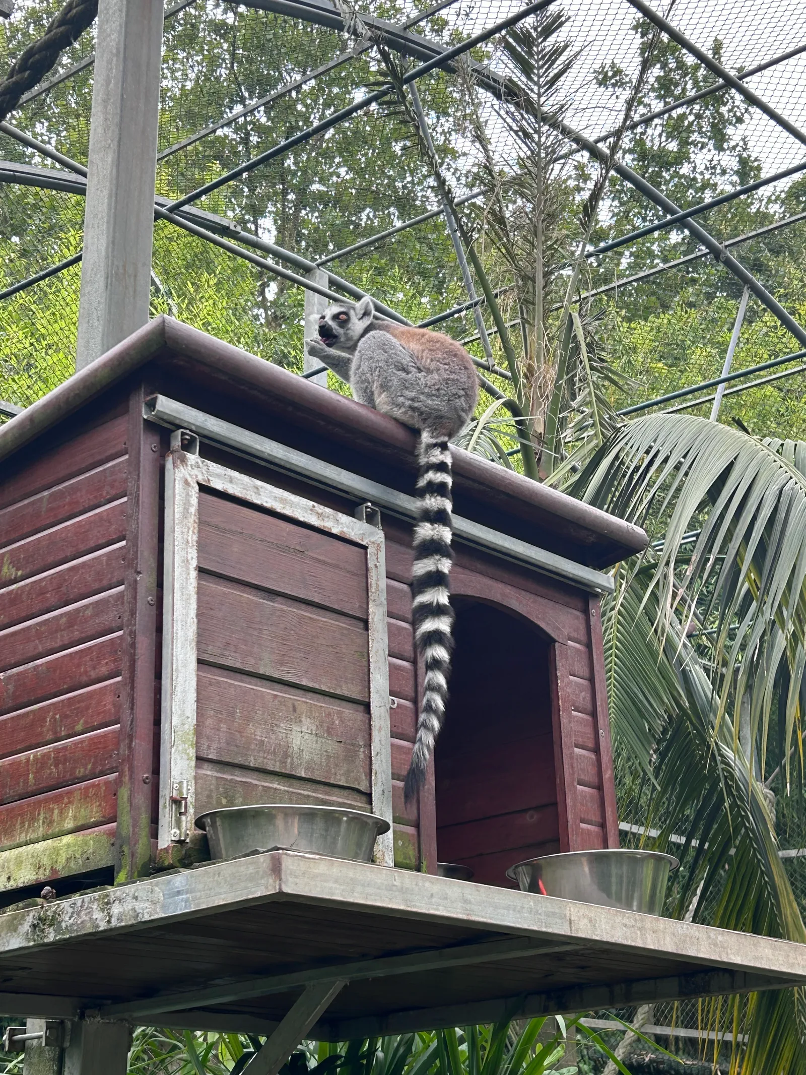 Atmosphere at Zoo Santo Inácio Porto — travel photo