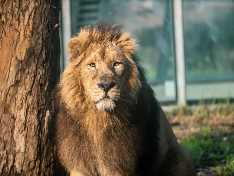 Zoo Santo Inácio