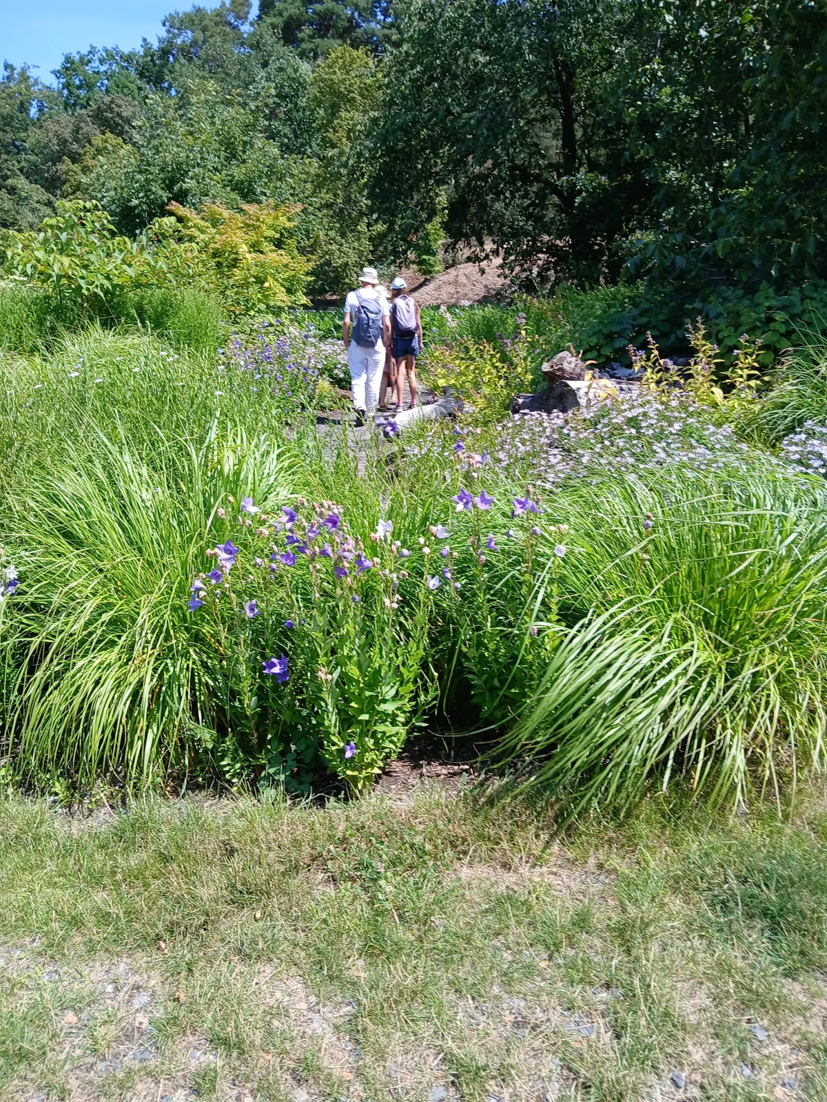 Main view at Botanical Garden of the City Prague Prague — travel photo