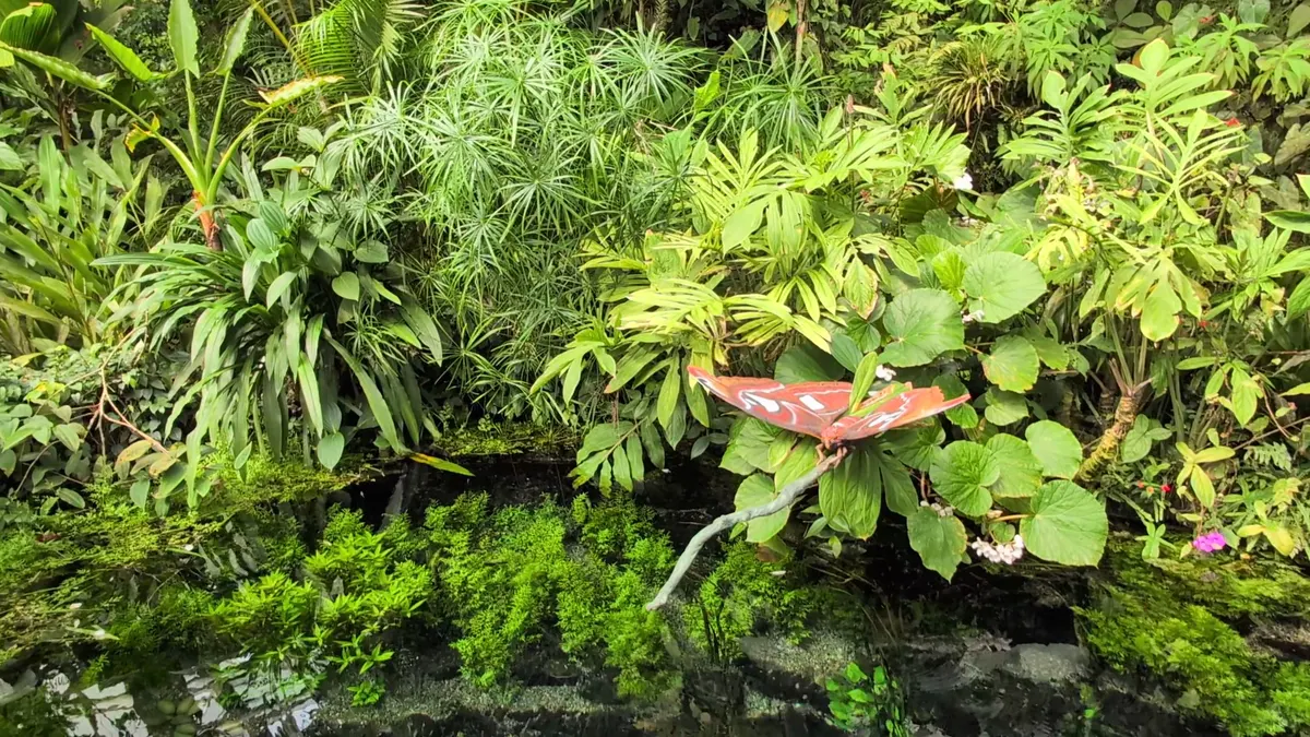 Interior at Botanical Garden of the City Prague Prague — travel photo