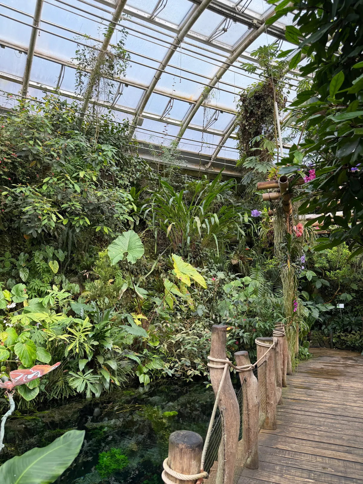 Details at Botanical Garden of the City Prague Prague — travel photo