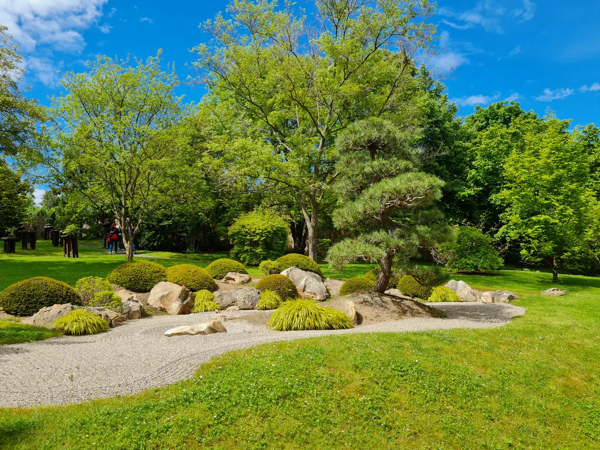 Atmosphere at Botanical Garden of the City Prague Prague — travel photo