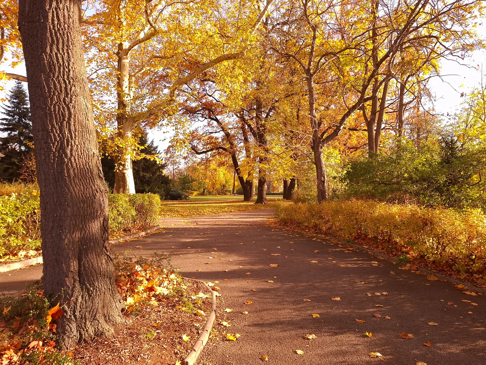 Atmosphere at Chotek Gardens Prague — travel photo