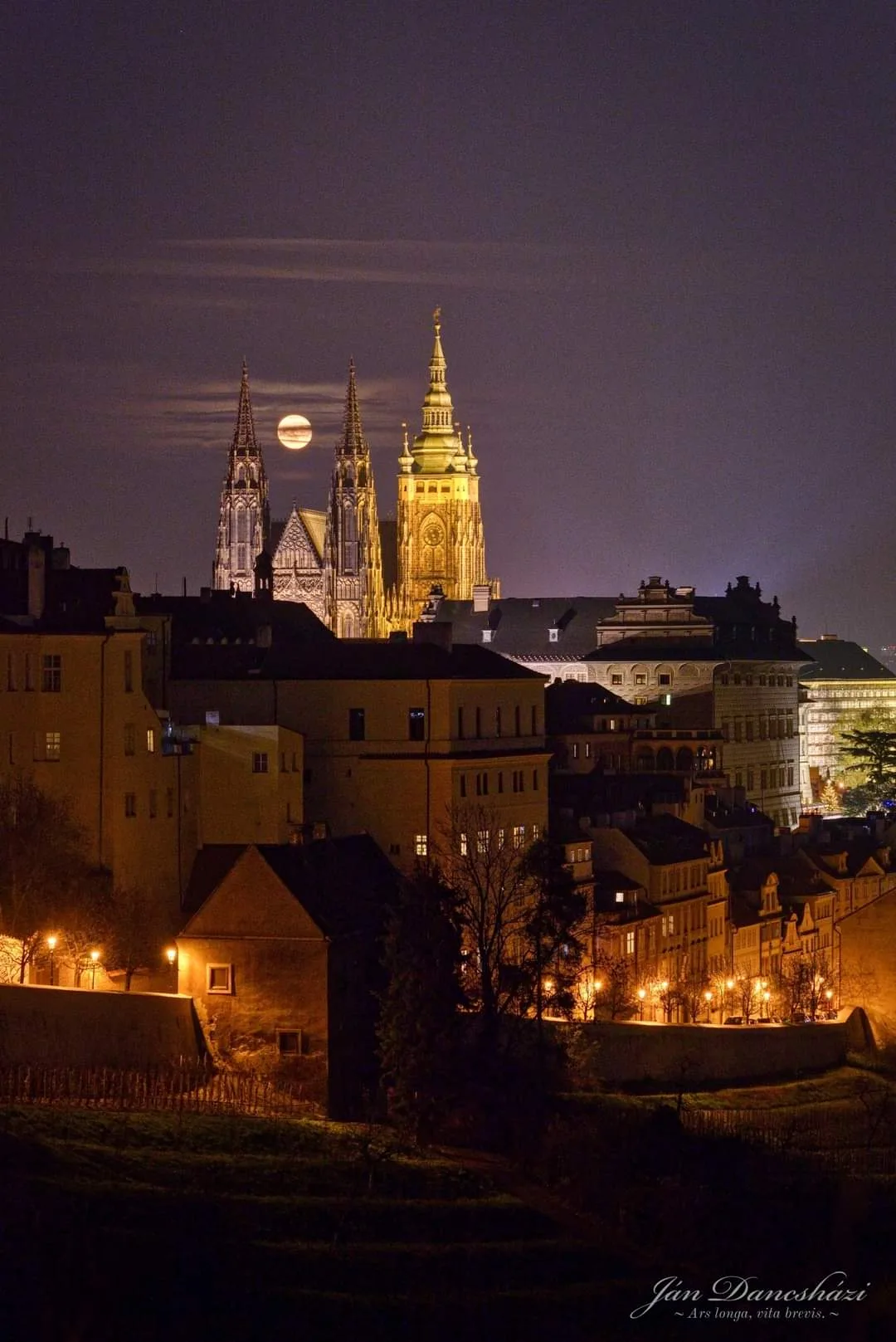 Details at Lookout with Vineyard Prague — travel photo