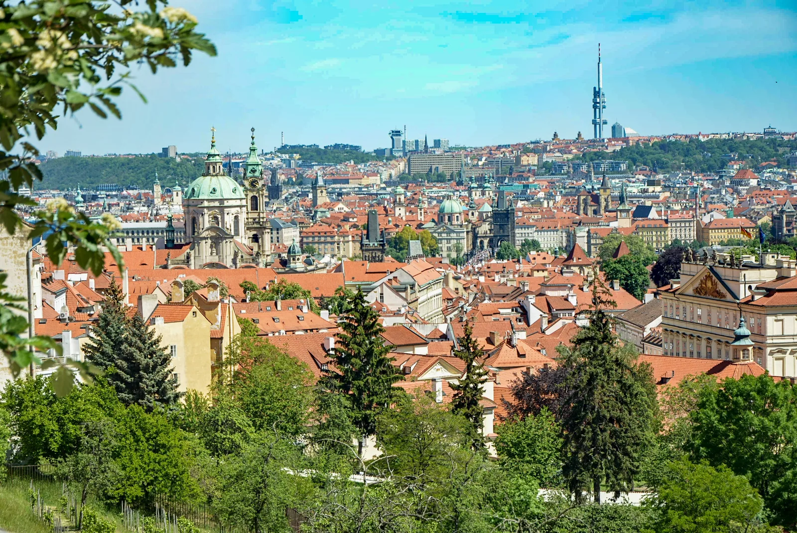 Atmosphere at Lookout with Vineyard Prague — travel photo