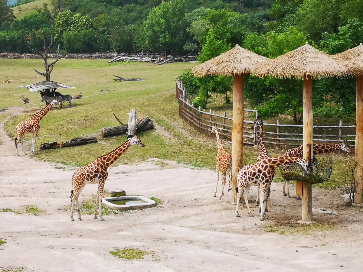 Atmosphere at Nature Park Draháň-Troja Prague — travel photo
