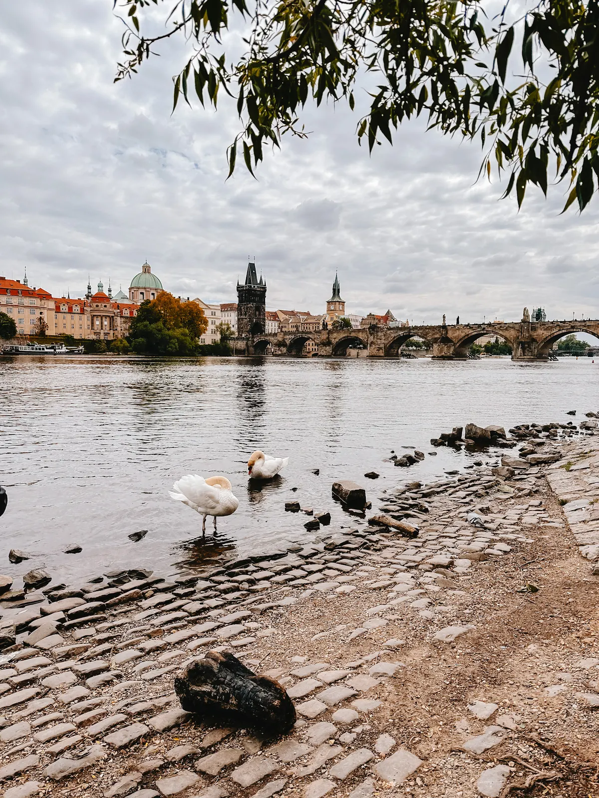 Details at Park Cihelná Prague — travel photo
