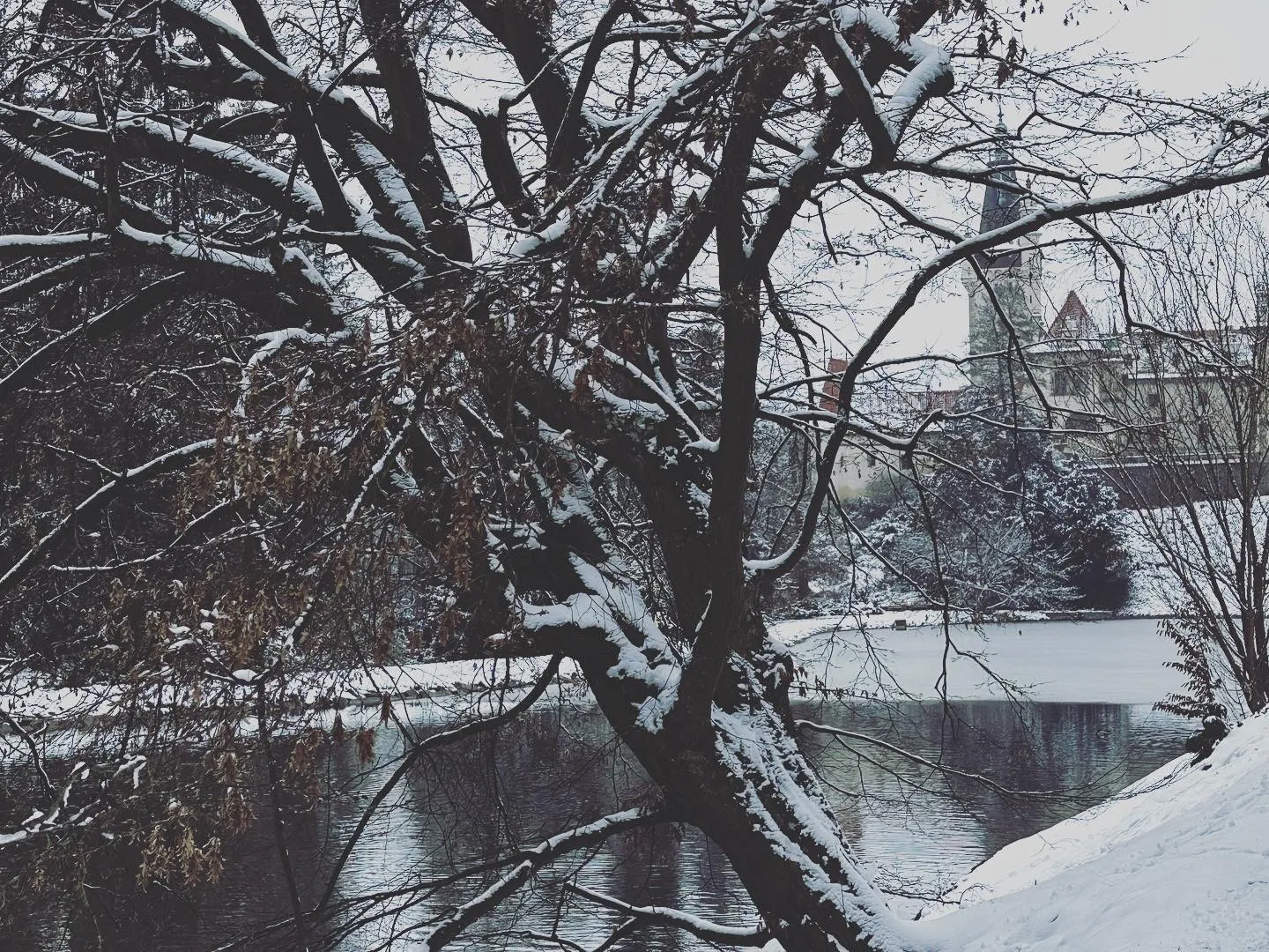 Atmosphere at Přírodní park Botič - Milíčov Prague — travel photo