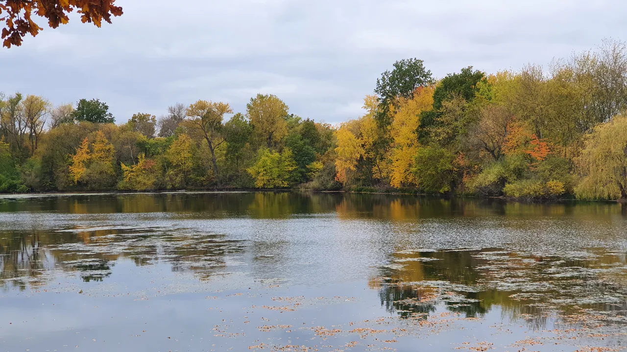 Přírodní park Botič - Milíčov — budget guide Prague