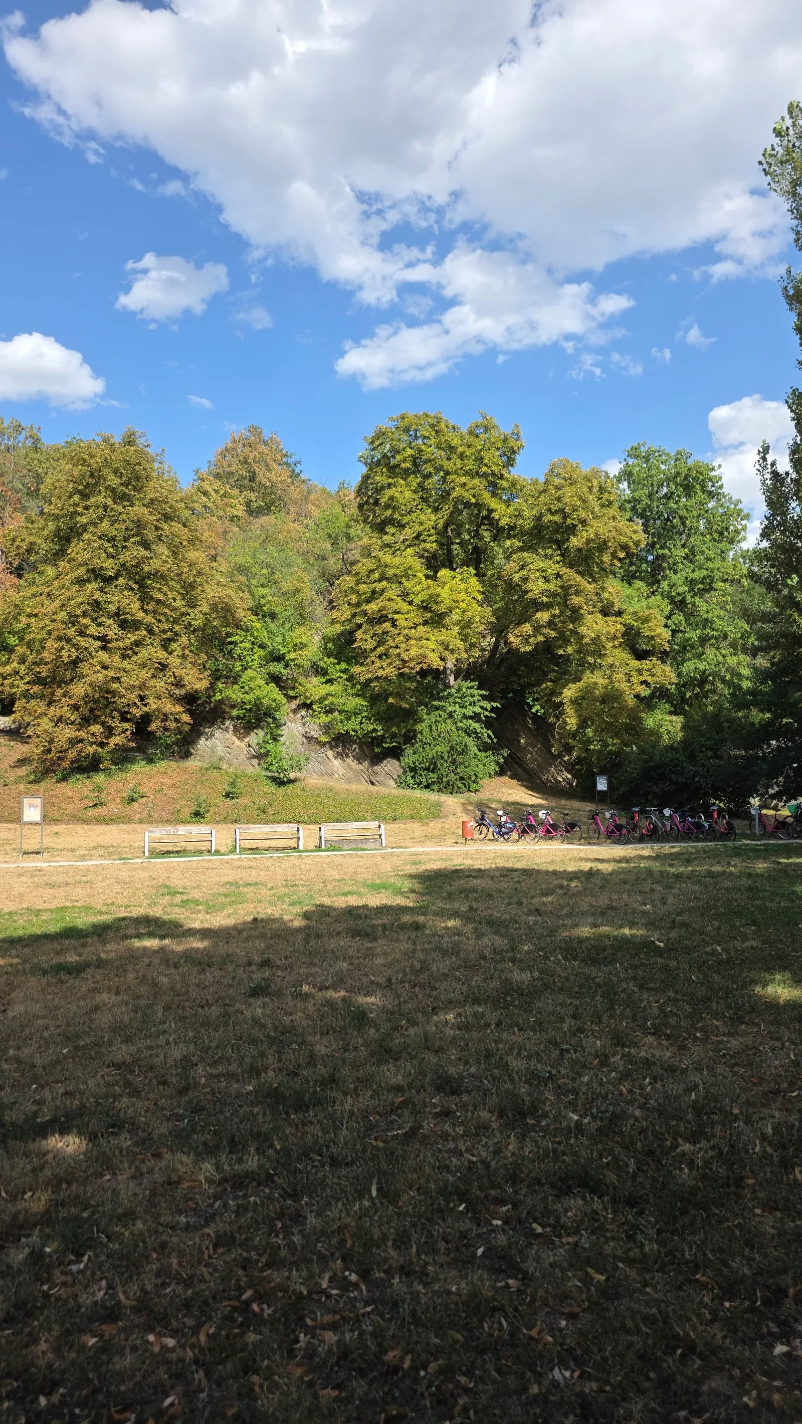 Main view at Thomayerovy sady Prague — travel photo