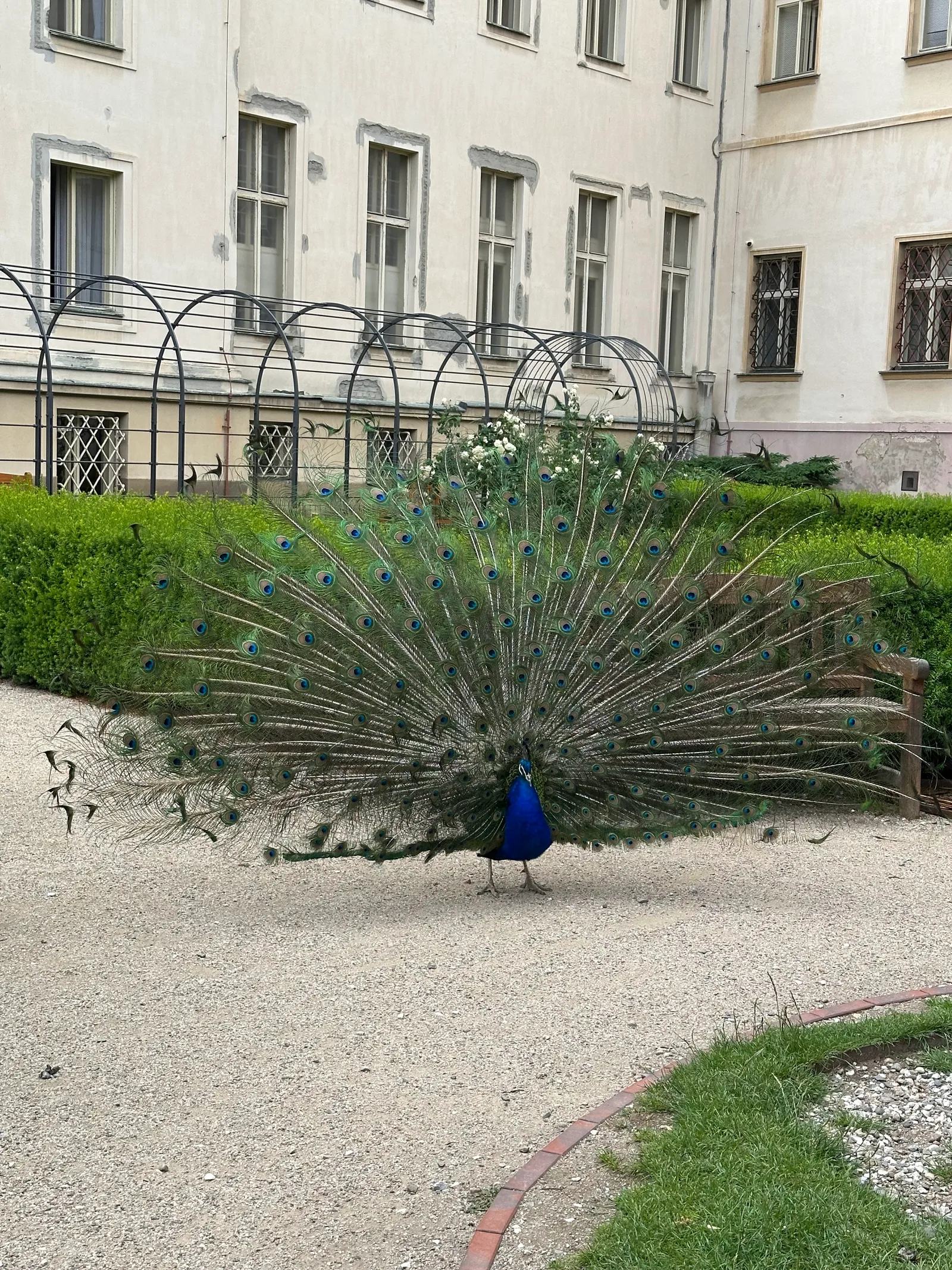 Details at Vojanovy sady Prague — travel photo