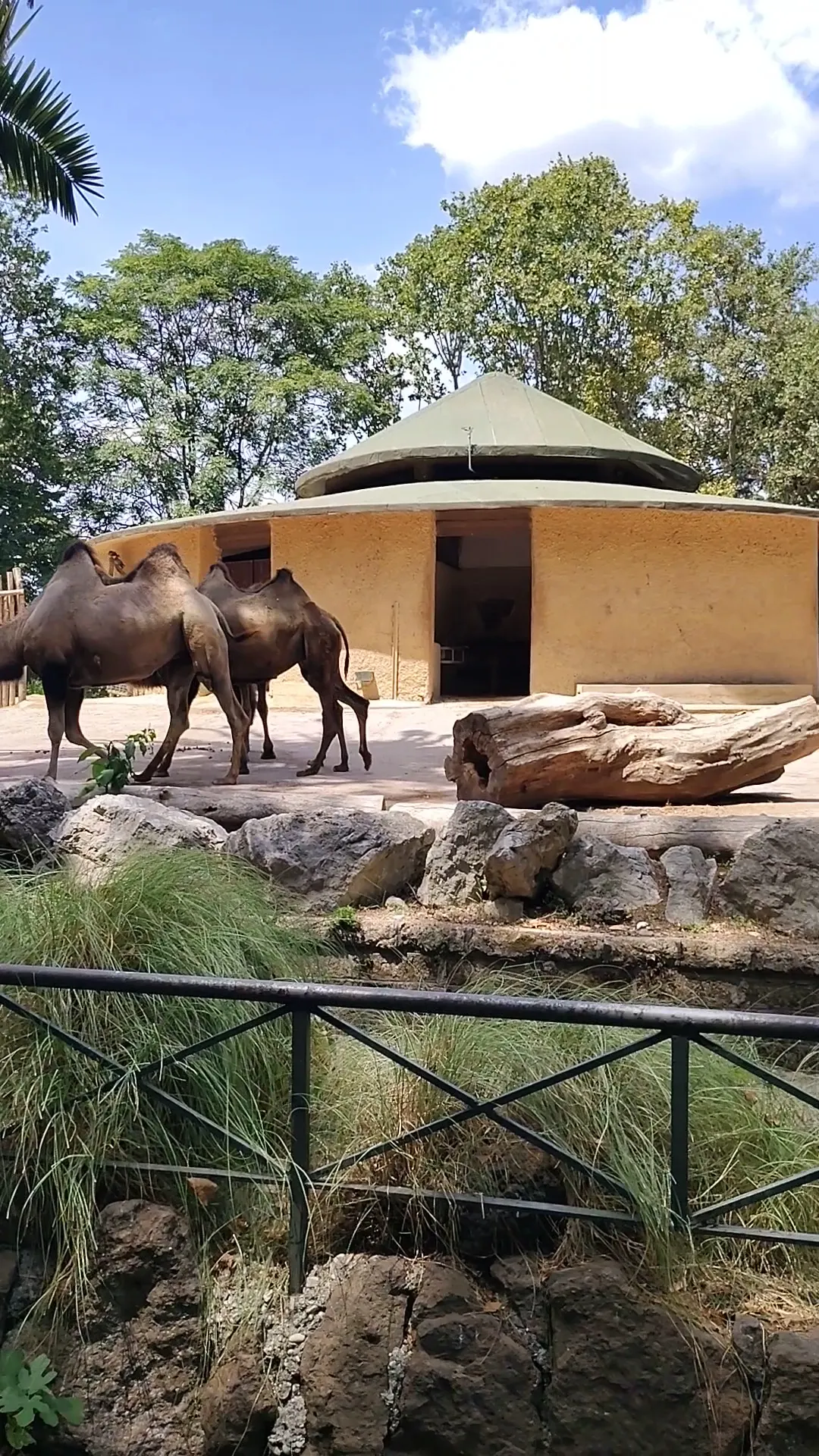 Main view at Bioparco di Roma Rome — travel photo