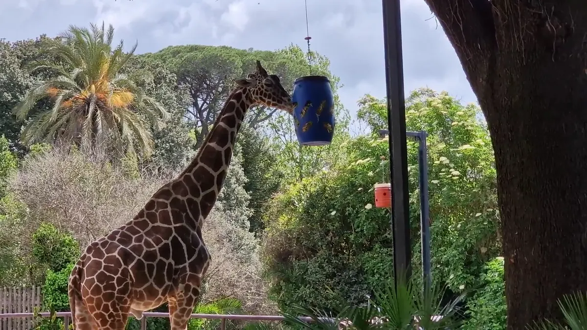 Interior at Bioparco di Roma Rome — travel photo