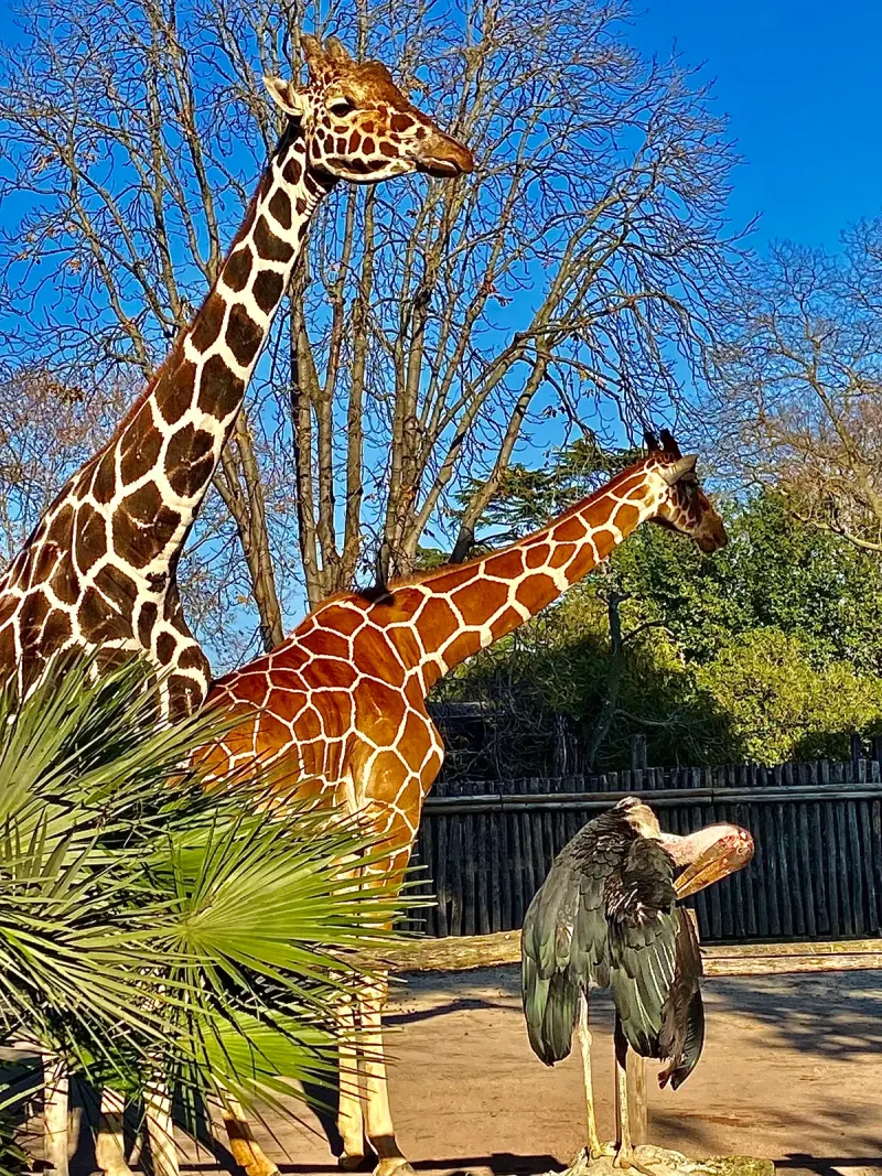 Bioparco di Roma in Rome
