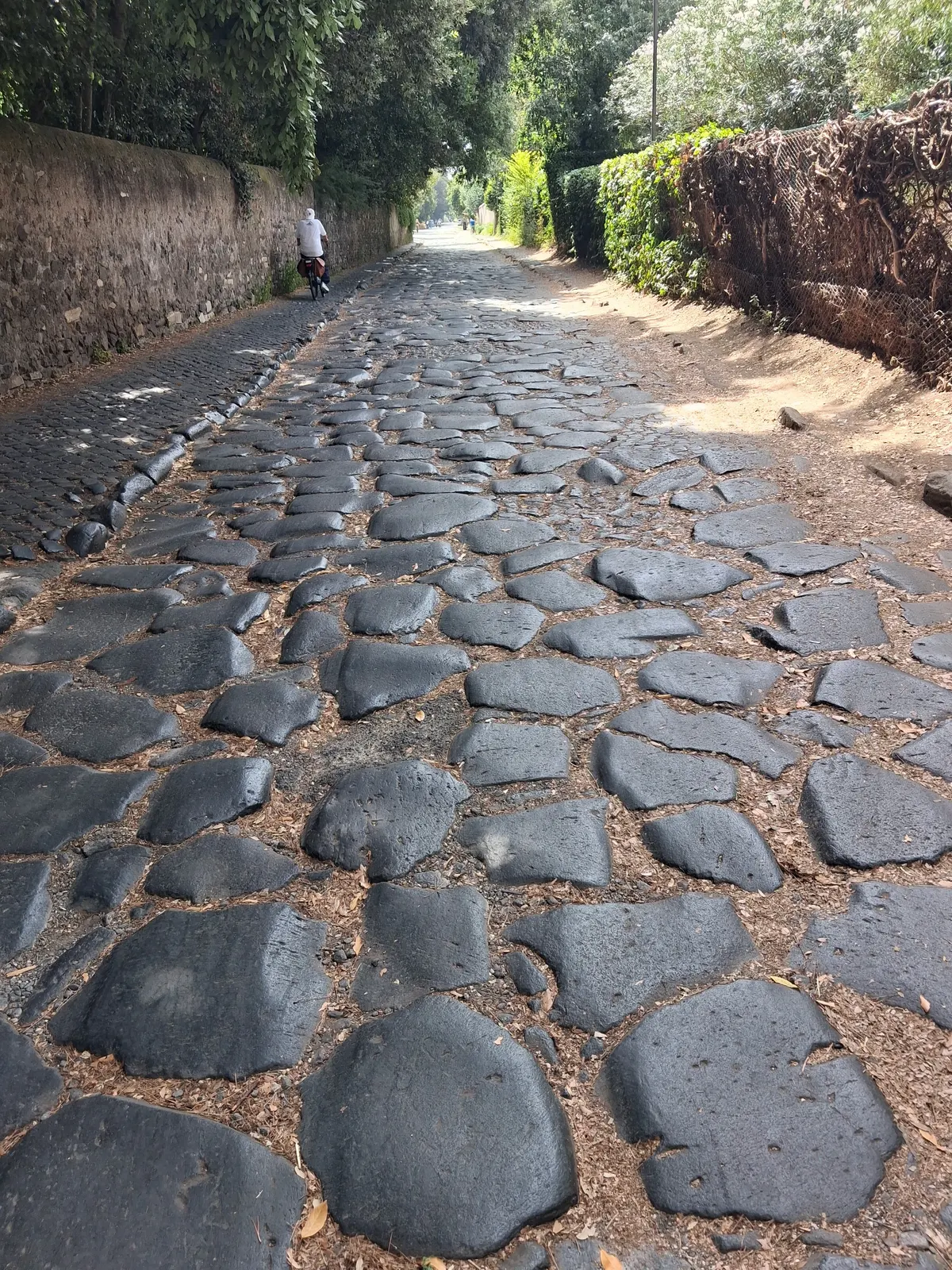 Main view at Parco della Caffarella Rome — travel photo