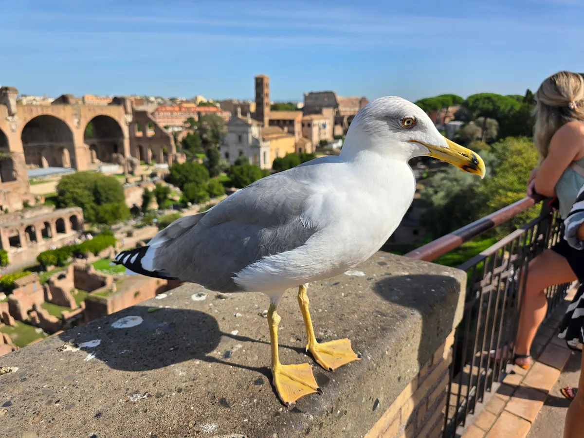 Details at Temple of Venus and Rome Rome — travel photo