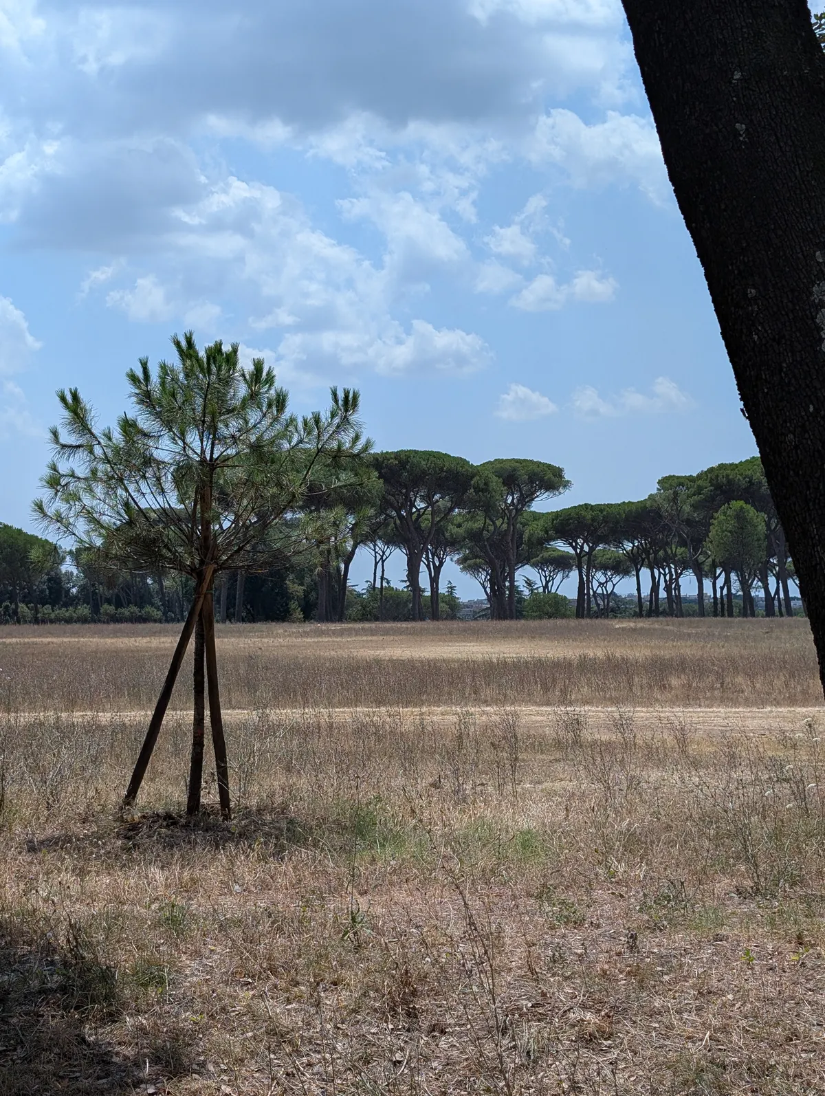 Main view at Villa Doria Pamphili Rome — travel photo