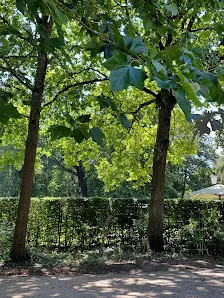 Family areas at Het Park Rotterdam — family travel photo