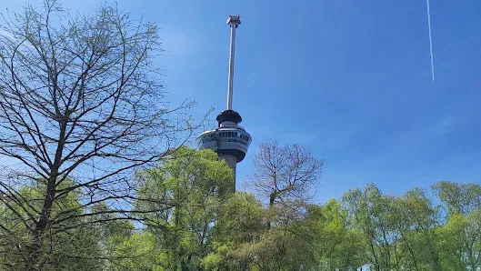 Outdoor views at Het Park Rotterdam — family travel photo