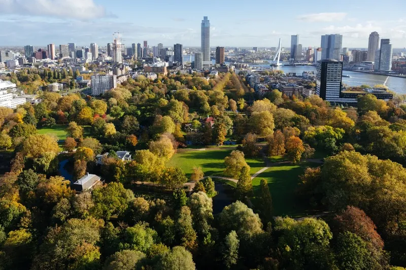 Het Park — romantic guide Rotterdam