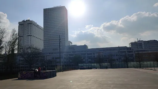 Outdoor views at Museumpark Rotterdam — family travel photo
