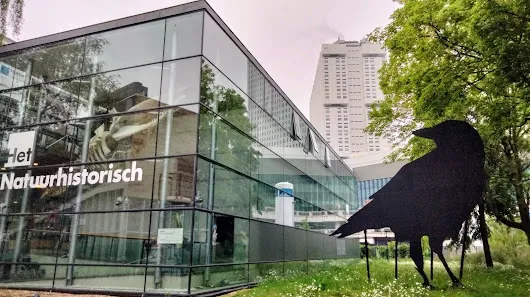 Interactive zones at Museumpark Rotterdam — family travel photo