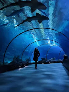 Interactive zones at Rivièrahal Blijdorp Rotterdam Zoo Rotterdam — family travel photo